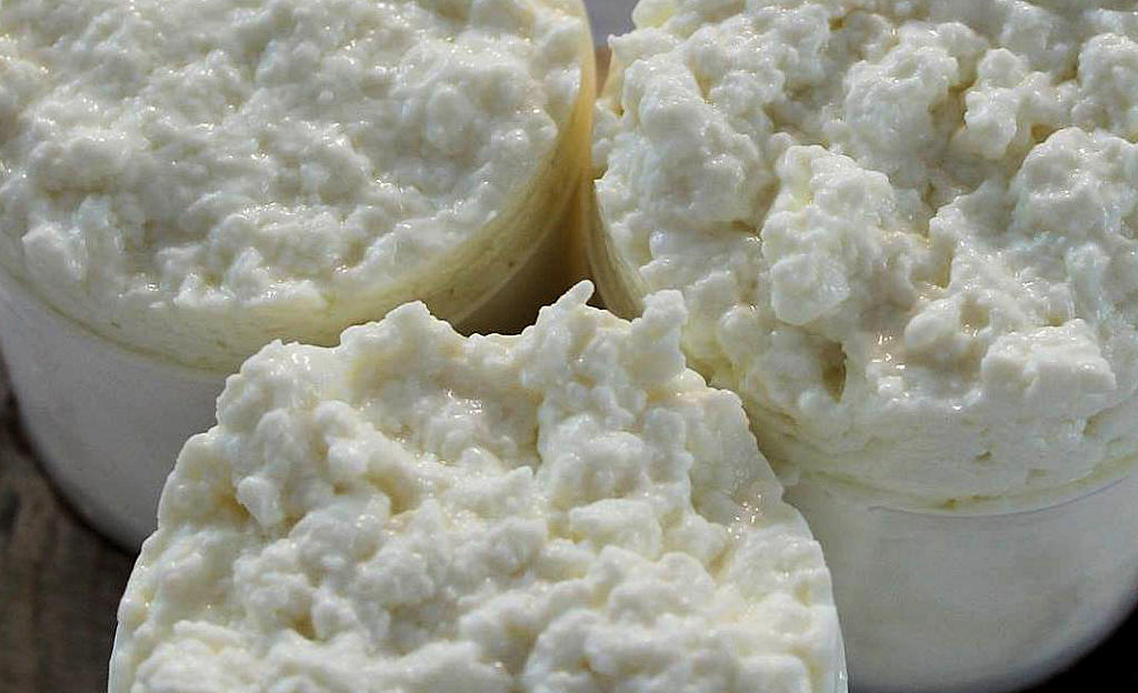 Queijo Fresco de Azeitão Azeitão's Finest Fresh Cheese
